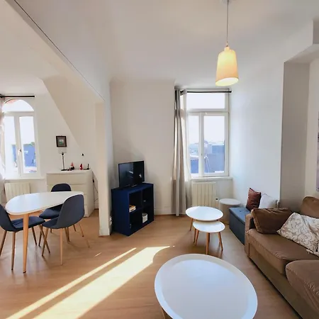 2-bedroom In Historic Center With Elevator * 里尔